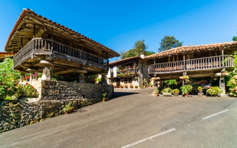 Un camino rural te lleva a tu casa vacacional